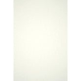 Hobby Vilt | lapje 20 x 30 cm | Off white Vilt VILT - PES - 2030 - OFF - WHITE - A49